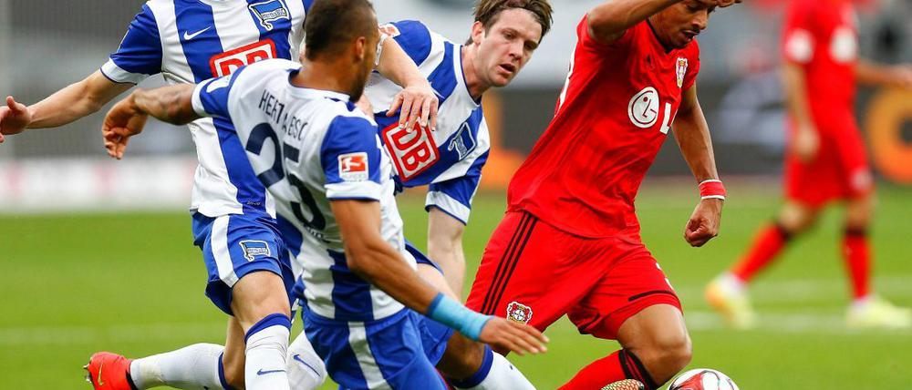 Überragend gegen die Hertha: Leverkusens Karim Bellarabi.