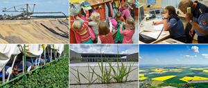 Ein schönes Land – aber mit Problemen. Der Strom ist in Brandenburg besonders teuer, die vermeintlich billige Braunkohle führt aber zu massiven Umweltschäden. An den Schulen fehlt es wohl bald an Personal, bei der Polizei schon heute. Die Wirtschaft floriert nicht überall, der BER bleibt ein Milliardenrisiko – und im ländlichen Raum fehlt es an Infrastruktur. 