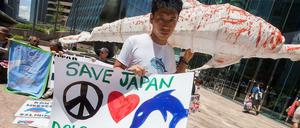 Tierschützer kämpfen für ein Ende der Delfin-Jagd.