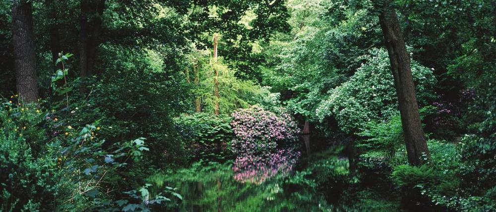Dicht begrüntes Seeufer. Leif Karpe und Beatrice Pötschke sind im Großen Tiergarten Berlins mehr als ein Jahr lang Besuchern mit der Kamera gefolgt. Herausgekommen ist ein kontrastreicher Bildband im Wandel der Jahreszeiten.