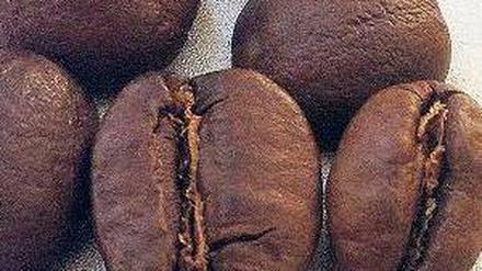 Beliebte Bohnen. Das Erbgut der Kaffeesorte Robusta ist entziffert und soll helfen, Kaffeepflanzen resistenter gegen Schädlinge zu machen.