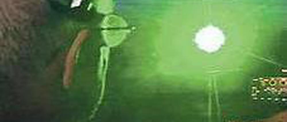 Geblendet. Dieses Bild zeigt eine Laserattacke aus der Sicht eines Piloten. 