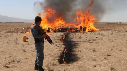 Ein afghanischer Polizist überwacht die Verbrennung von sichergestellten Drogen. Solche Erfolge - oder gar Siege gegen die Taliban - sind für die Sicherheitsbehörden des Landes in letzter Zeit rar geworden. 