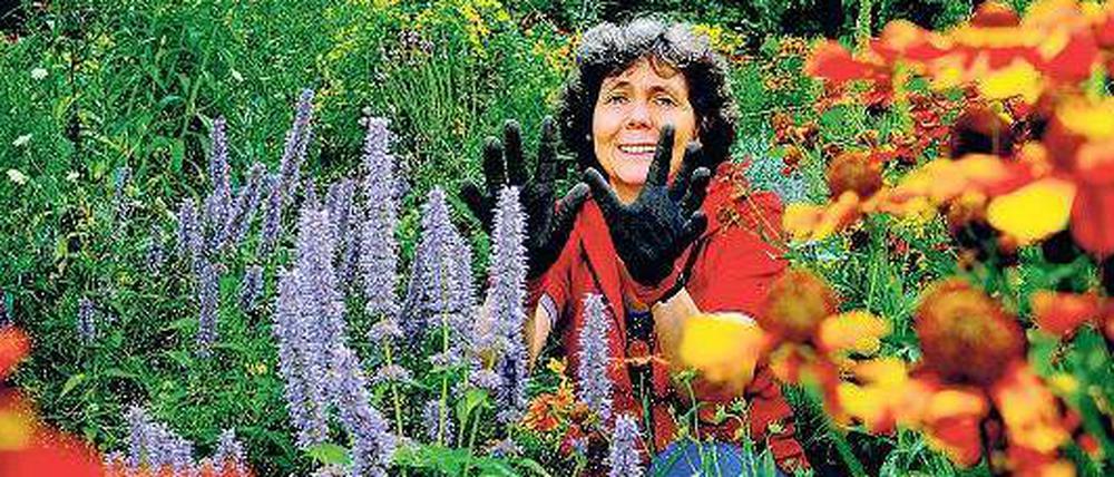 Versunken im Blumenmeer. Gabriele Holst kümmert sich darum, dass der Tiergarten wieder blüht.