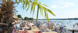 Die Palmen wachsen nicht in den Himmel. Nicht nur am Strandbad Wannsee blieben in dieser Saison die Gäste aus.