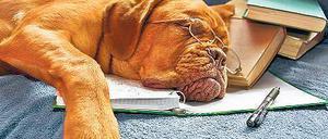 Entspannt regieren. Zaubertinte erlaubt es, Entscheidungen erst mal zu testen.