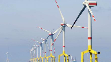 Öko-Strom, vor allem der auf hoher See erzeugte, treibt die Energiekosten. 