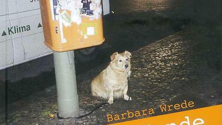 Kleiner Hund - großes Vertrauen: Coverbild des Buches ,,Wartende Hunde"