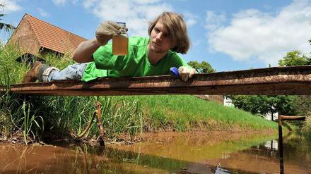 Braune Probe. So sah es 2013 im Landkreis Dahme-Spreewald aus, als Greenpeace-Aktivist Patrick Held eine Wasserprobe entnahm. Die Verfärbung stammt von der Verockerung.
