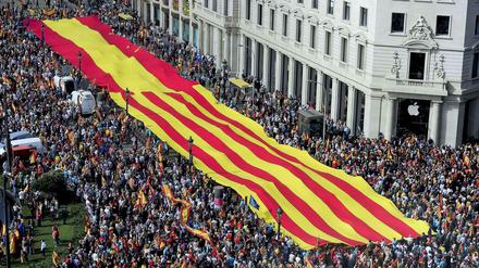 Eigene Farben: Die Katalanen kämpfen seit Jahren für einen unabhängigen Staat. Das Bild zeigt eine Demonstration in Barcelona.