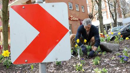 Blumen auf der Verkehrsinsel. Bei den Aktionstagen "Saubere Sache" wird die Stadt gepflegt und verschönert.