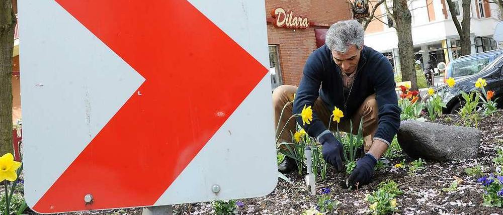 Blumen auf der Verkehrsinsel. Bei den Aktionstagen "Saubere Sache" wird die Stadt gepflegt und verschönert.