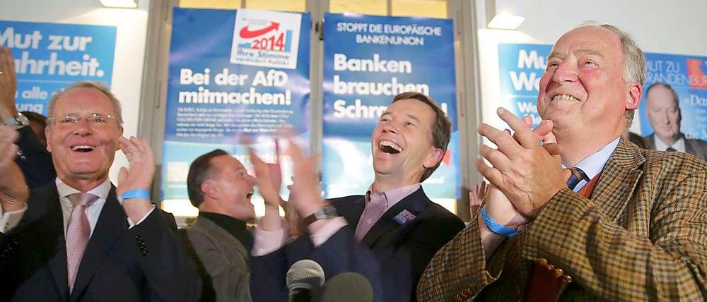 Die drei Herren von der AfD: Hans-Olaf Henkel, Bernd Lucke und Alexander Gauland