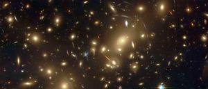 Beinahe zu perfekt. Dass das Leben eine Nische im Universum findet, ist extrem unwahrscheinlich.