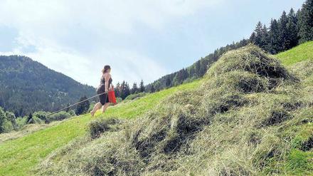 Frisch von der Alm. Heu ist was für Pferde. Aber auch der Rohstoff für die Wellness im Allgäu