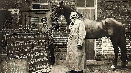 Wilhelm von Osten steht im weißen Kittel neben seinem Pferd. Vor dem Tier sind zwei Schiefertafeln mit Zahlen und Buchstaben aufgestellt.