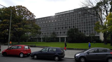 Viel Platz, viel Gestrüpp. Links neben die Gedenkbibliothek soll der Neubau auf die große Wiese.