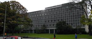 Viel Platz, viel Gestrüpp. Links neben die Gedenkbibliothek soll der Neubau auf die große Wiese.