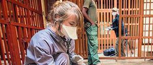 Jessica Magenwirth behandelt einen erkrankten Gorilla.