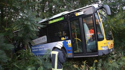 Endstation Grünstreifen. Der Bus rauschte in die Büsche.