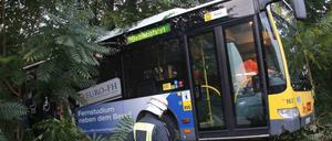Endstation Grünstreifen. Der Bus rauschte in die Büsche. 