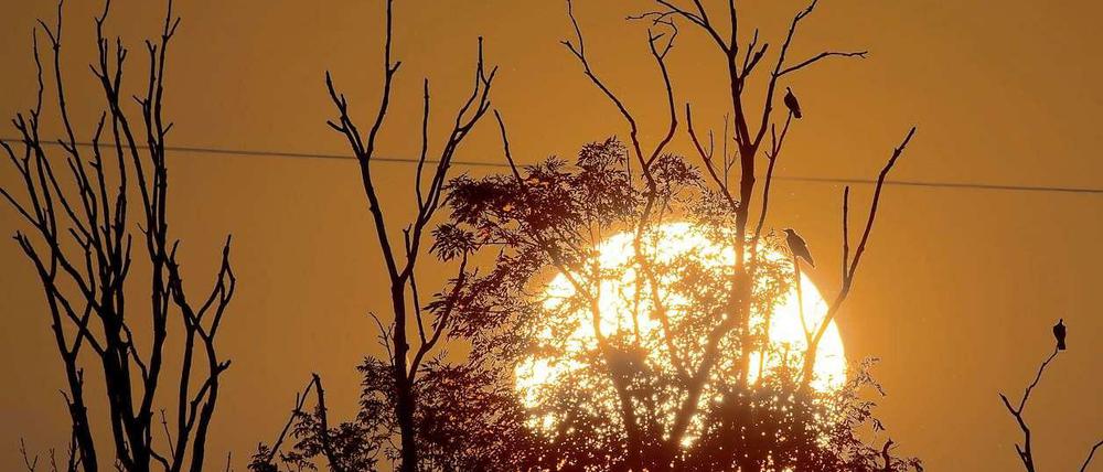 Die Sonne geht auch in Hannover auf. Hier eine Beweisaufnahme zum Trost für unsere Umzüglerin.