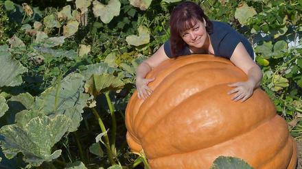 Kaum zu fassen. Der Kürbis im Garten von Silvia Manteuffel aus Fürstenwalde wiegt 260 Kilogramm.