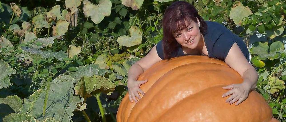 Kaum zu fassen. Der Kürbis im Garten von Silvia Manteuffel aus Fürstenwalde wiegt 260 Kilogramm.