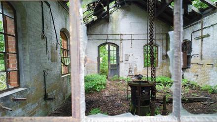 Einsatz in Morbidistan. Man braucht noch viel Fantasie, um sich vorzustellen, wie hier in ein paar Jahren Ateliers und Studios entstehen. Noch locken die Heilstätten in Beelitz eher die Ruinen-Touristen aus Berlin an. 