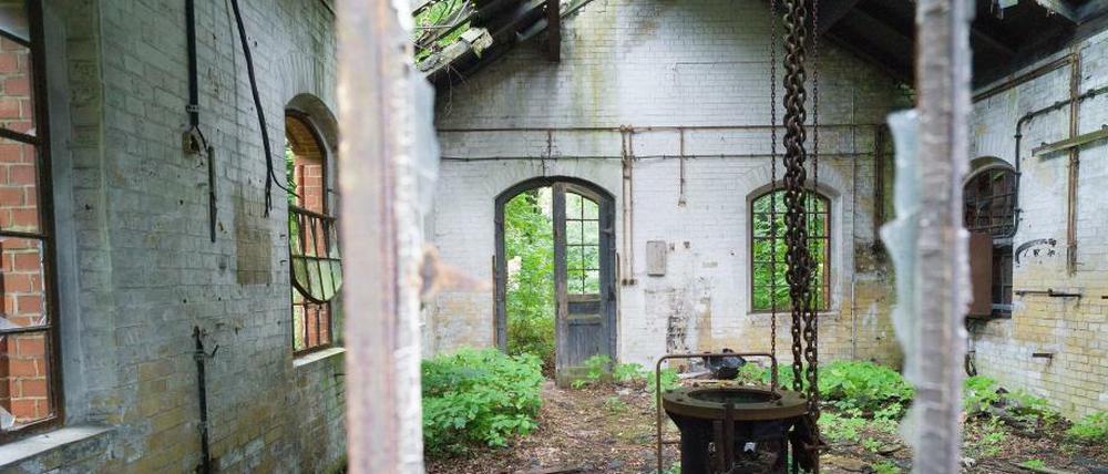 Einsatz in Morbidistan. Man braucht noch viel Fantasie, um sich vorzustellen, wie hier in ein paar Jahren Ateliers und Studios entstehen. Noch locken die Heilstätten in Beelitz eher die Ruinen-Touristen aus Berlin an. 