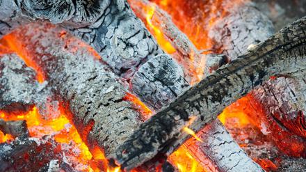 Das Tratschen am Lagerfeuer heizte die kulturelle Evolution des Menschen an, schlussfolgert eine Forscherin, die das Verhalten afrikanischer Buschmänner studierte.