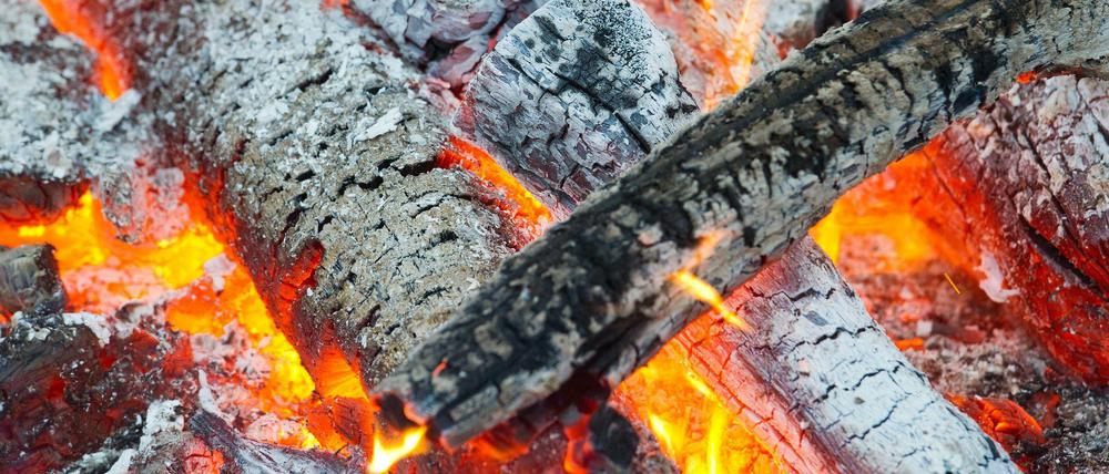 Das Tratschen am Lagerfeuer heizte die kulturelle Evolution des Menschen an, schlussfolgert eine Forscherin, die das Verhalten afrikanischer Buschmänner studierte.