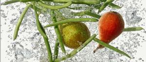 Transformation. Im Kochtopf verwandelt sich Natur in Kultur.