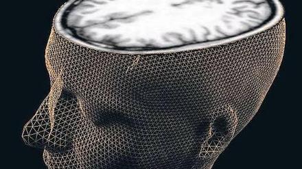 Das Gehirn ist flexibler als gedacht. Bei Verletzungen können Gliazellen als Stammzellen fungieren und neue Nervenzellen hervorbringen. 