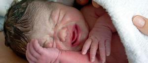 Gut geschützt. Neugeborene haben bereits ein aktives Immunsystem.