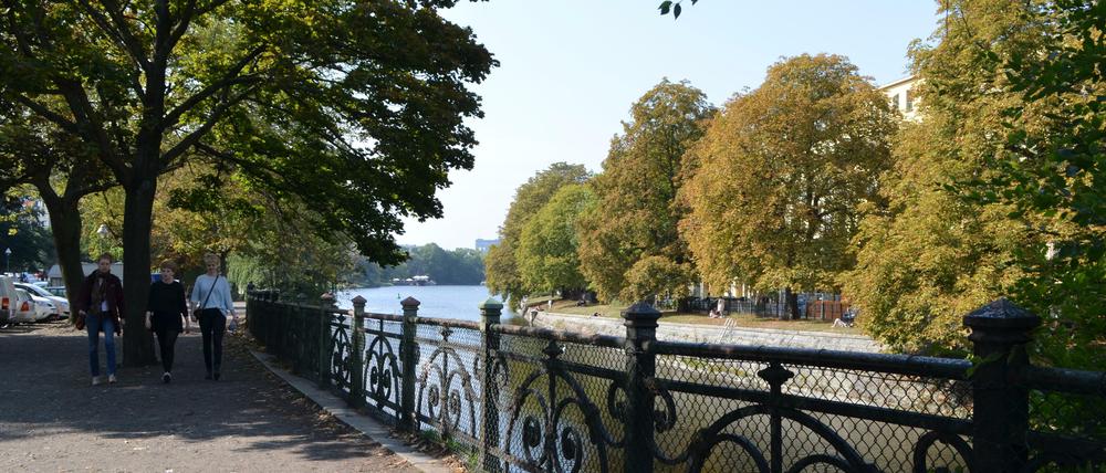 Die letzten Sonnenstrahlen einfangen, das ist die Devise, solange sich das Herbst-Schmuddelwetter noch nicht so breit gemacht hat.
