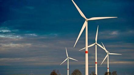 Fataler Irrtum. In der Ultraschallwahrnehmung von Fledermäusen erscheinen Windräder den Tieren wie große Bäume. 