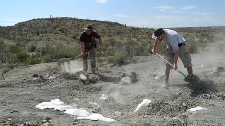Nahe der Ortschaft Porvenir de Jalpa im mexikanischen Bundesstaat Coahuila haben deutsche Forscher in der weit über 40 Grad Celsius heißen Wüste Knochen eines Hadrosauriers gefunden. 