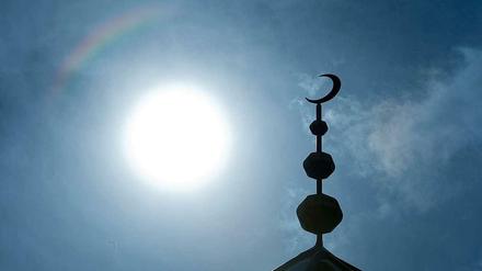 Salafisten sehen ausschließlich die Bestimmungen des Korans und die Lehren des Propheten als verbindlich an. 