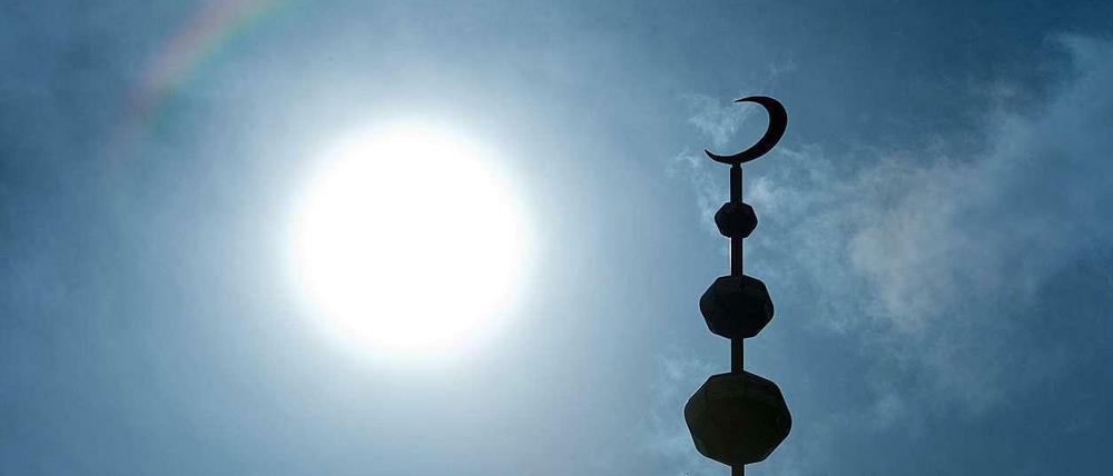 Salafisten sehen ausschließlich die Bestimmungen des Korans und die Lehren des Propheten als verbindlich an. 