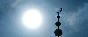 Salafisten sehen ausschließlich die Bestimmungen des Korans und die Lehren des Propheten als verbindlich an. 
