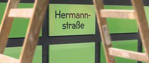 Grün regiert. Die Farbe des Dschungels bestimmt die Optik im neu gestalteten U-Bahnhof Hermannstraße.