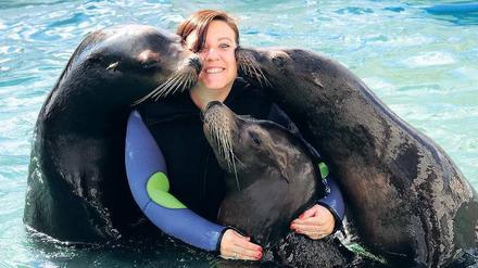 Schmusen. Unsere Redakteurin Anke Myrrhe wird von Seelöwen umlagert.