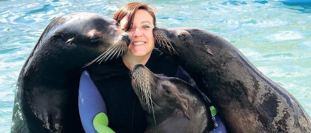 Schmusen. Unsere Redakteurin Anke Myrrhe wird von Seelöwen umlagert.