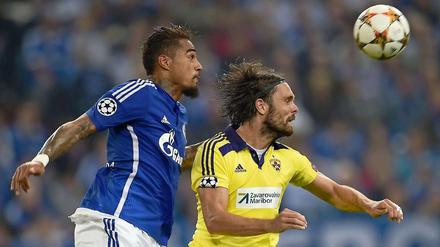 Schalkes Kevin Prince Boateng (l.) im Kopfballduell mit Marko Suler.