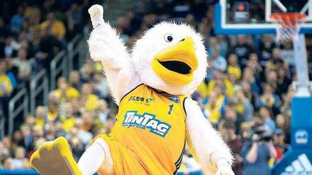 Party mit Federvieh. Der Albatros, Maskottchen der Berliner Basketballer, feiert seinen Geburtstag. 