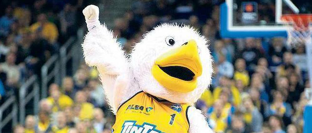 Party mit Federvieh. Der Albatros, Maskottchen der Berliner Basketballer, feiert seinen Geburtstag.