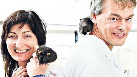 Gewusst wo. Das norwegische Ehepaar May-Britt und Edvard Moser forscht seit dem Studium zusammen und konnte die Auszeichnung kaum fassen.