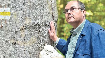 Unter Bäumen. Der Trend geht zum Mischwald, erfährt Minister Schmidt bei einem Spaziergang in Eberswalde.
