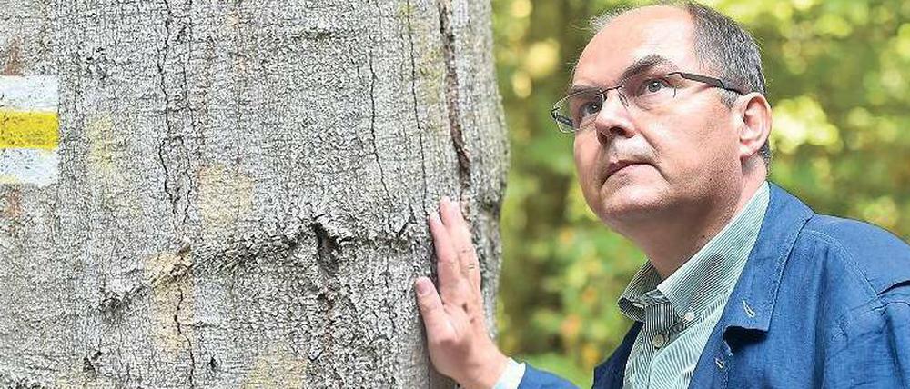 Unter Bäumen. Der Trend geht zum Mischwald, erfährt Minister Schmidt bei einem Spaziergang in Eberswalde.